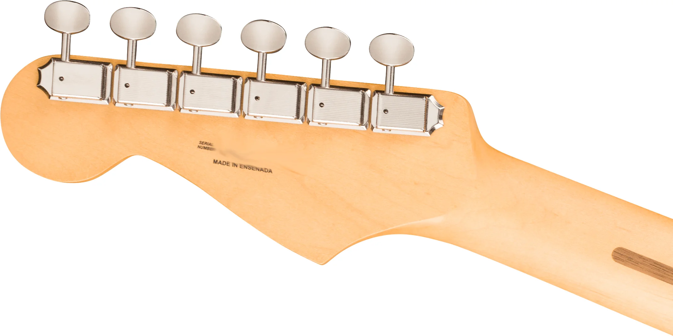 Fender Player II Stratocaster, Cactus Gray Chitarra elettrica 22T medium jumbo - Image 5