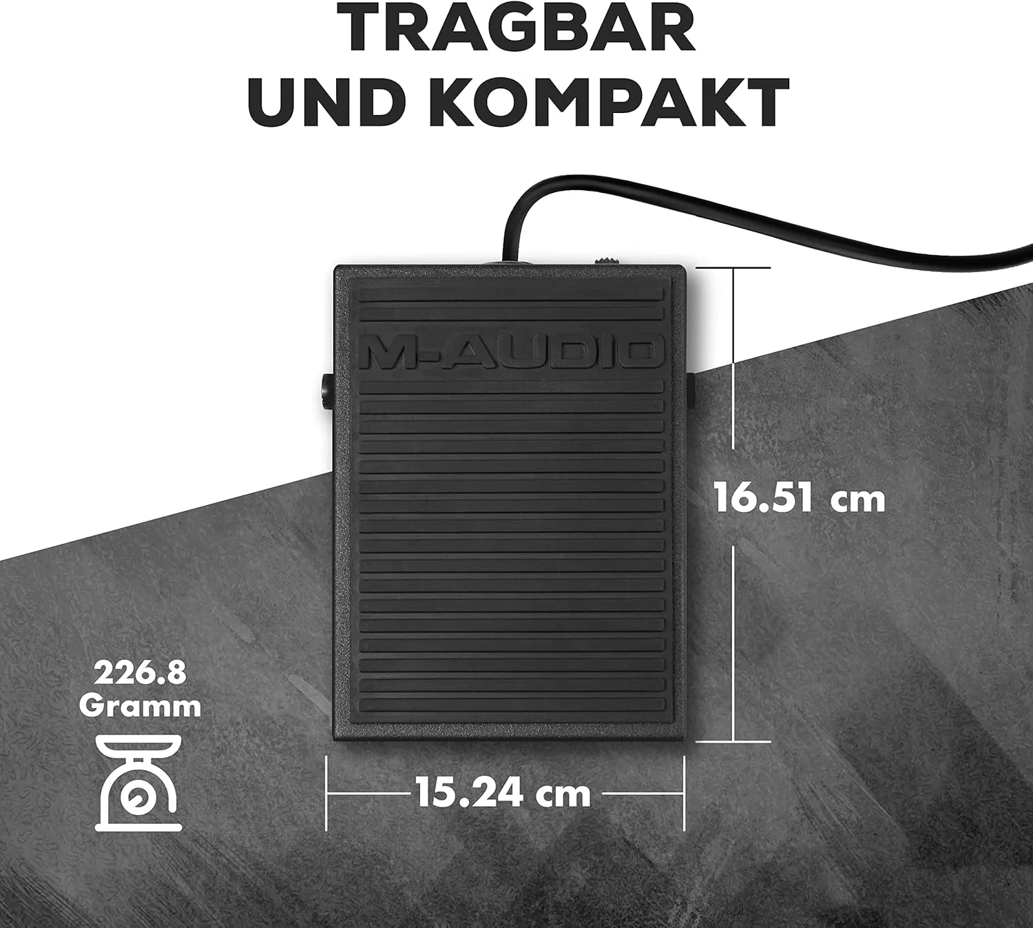 M-Audio SP-1 Pedale Sustain Interruttore x invertire la polarità x tastiere Nero - Image 5