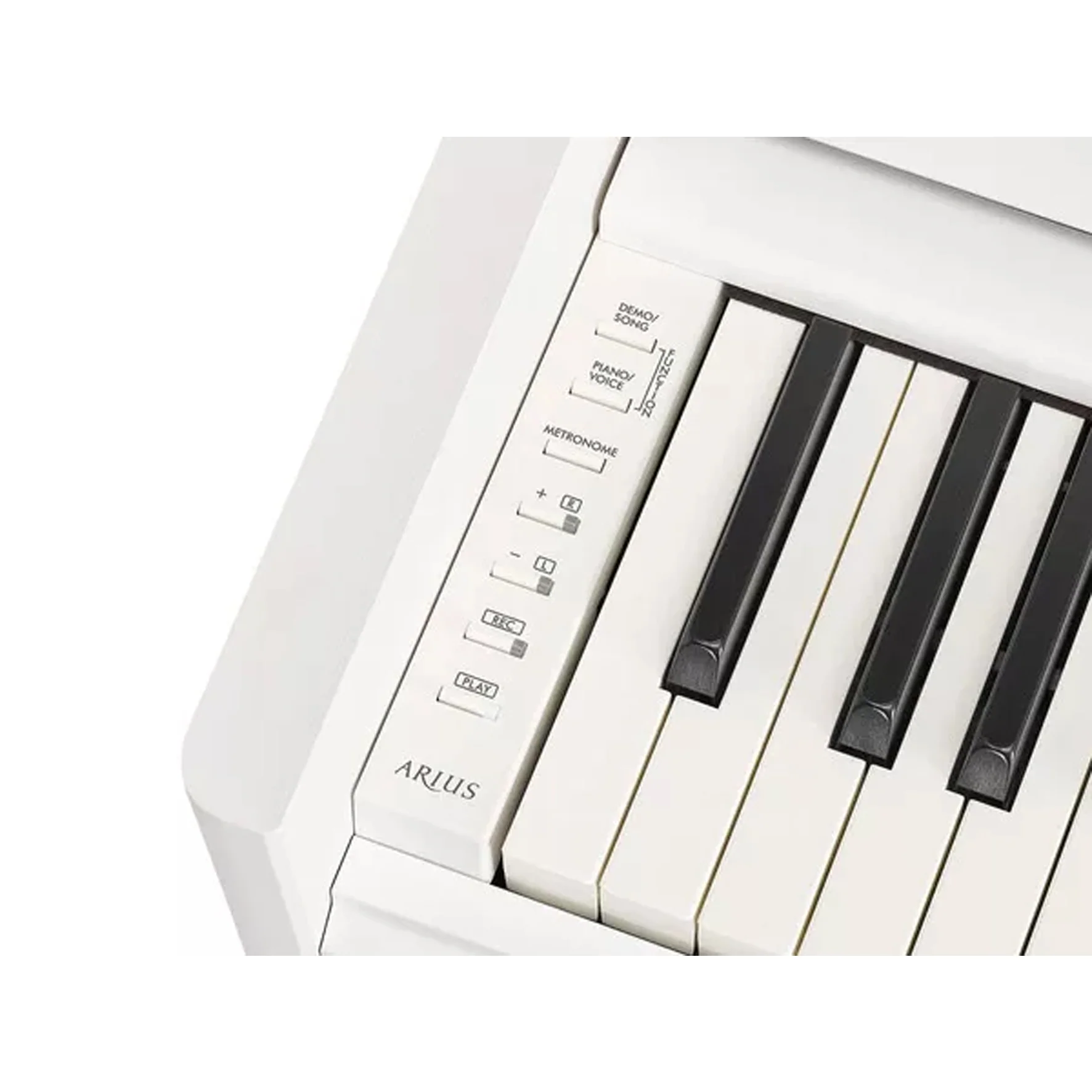 Yamaha YDP-S55WH Pianoforte Tastiera Digitale 88 Tasti Pesati, Bianco - Image 5